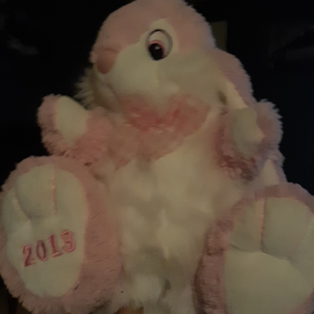 bunny rabbit